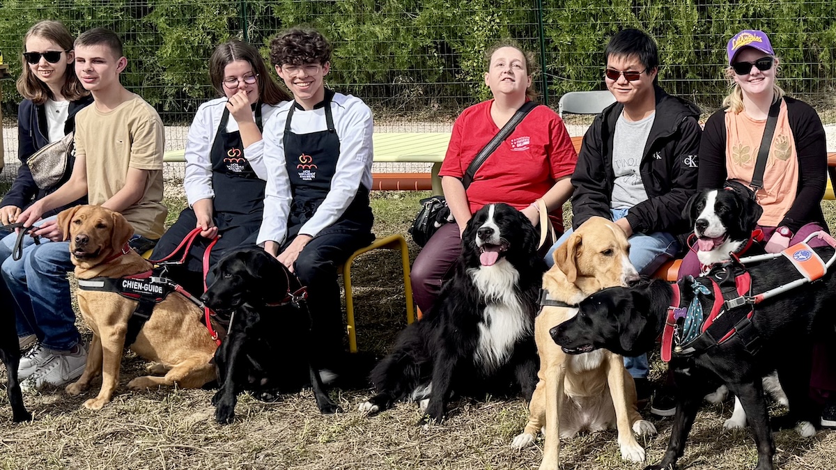 Jpo fred gaillanne 2 2